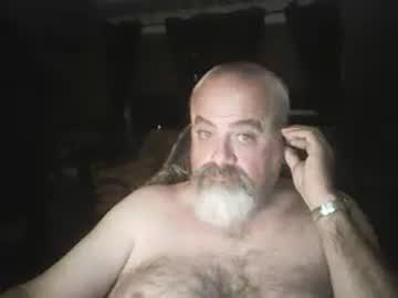 mnbear chaturbate